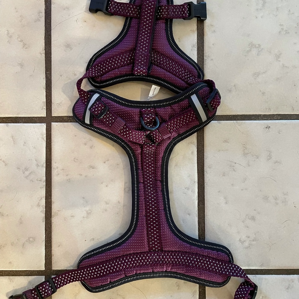 Small dog harness.